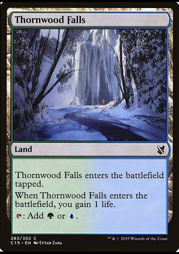 Thornwood Falls (Dornwaldfälle)